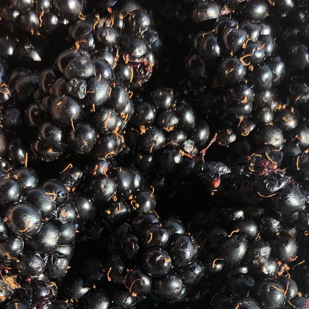 Meet your Posher, Elena